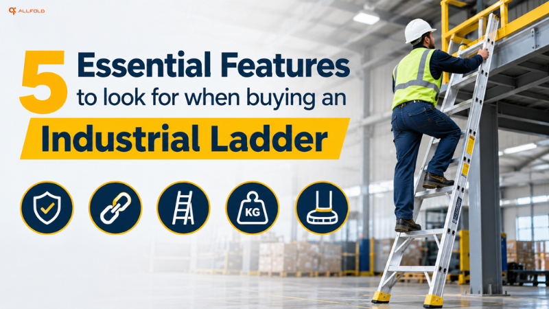 Industrial Ladder
